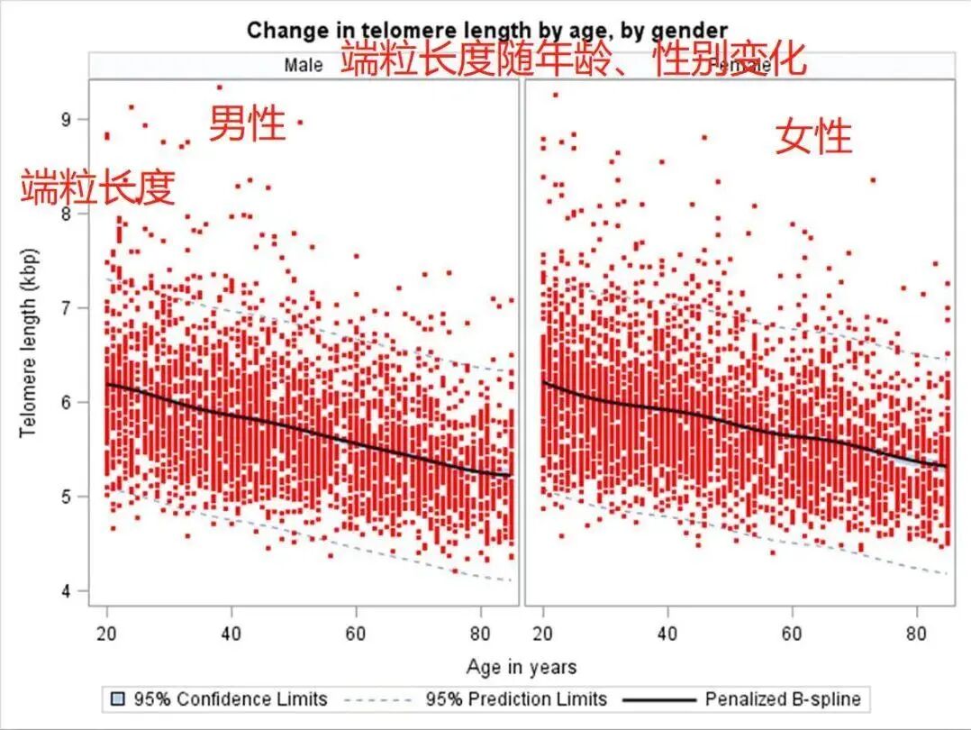 细胞抗衰结语图