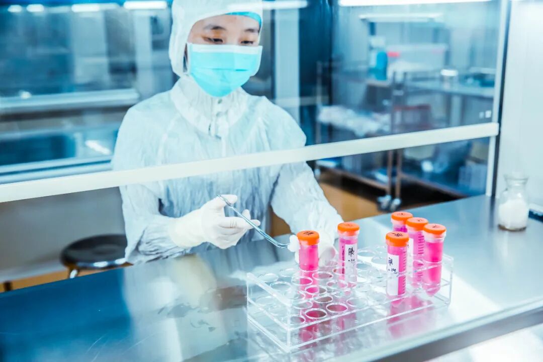 细胞主要功能示意