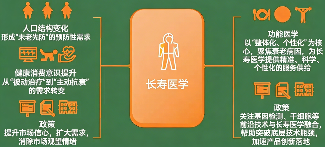 長壽醫學關注內在機制而非僅外表