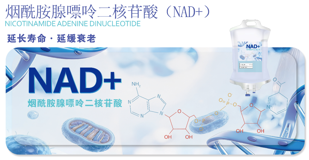 慢性炎症与免疫稳态
