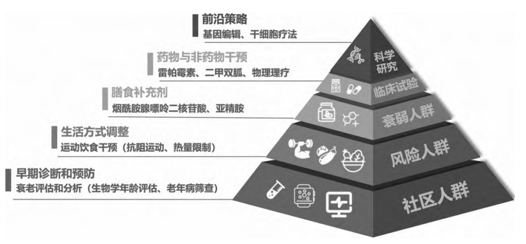 长寿医学成为大健康新引擎