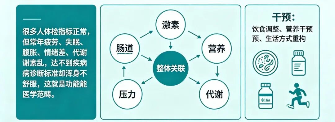 功能醫學關注功能失衡而非單一病灶